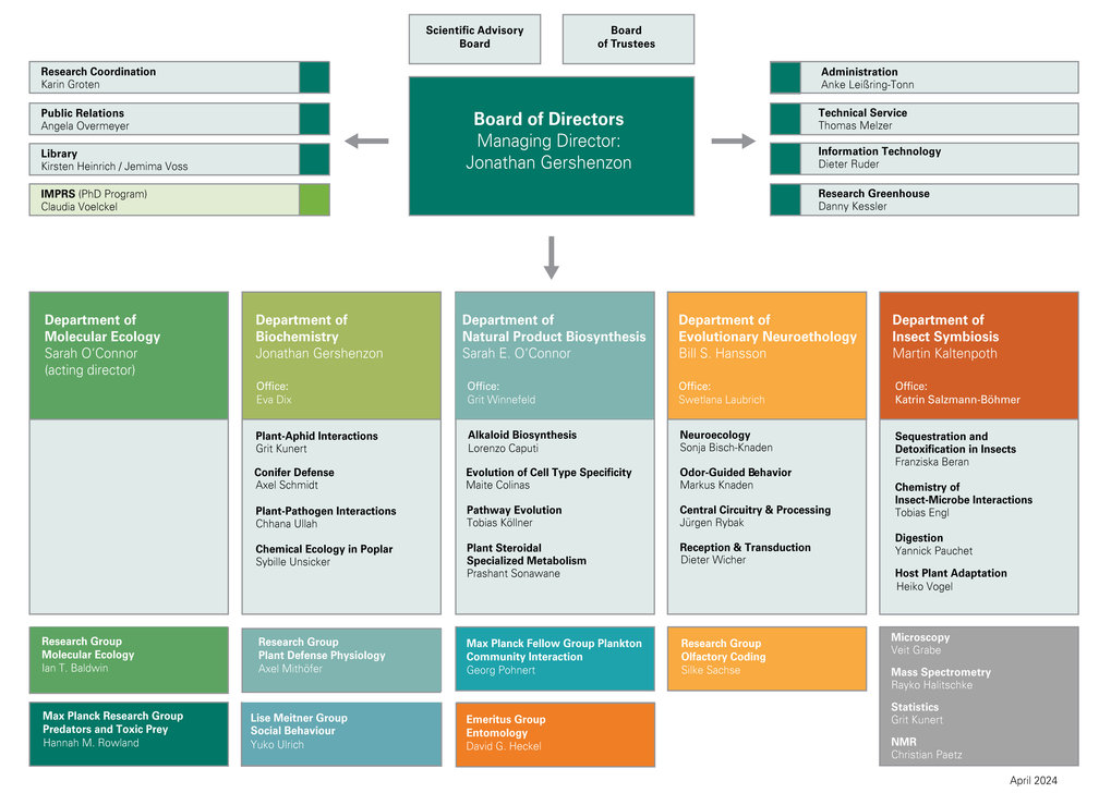 Management and Key Representatives