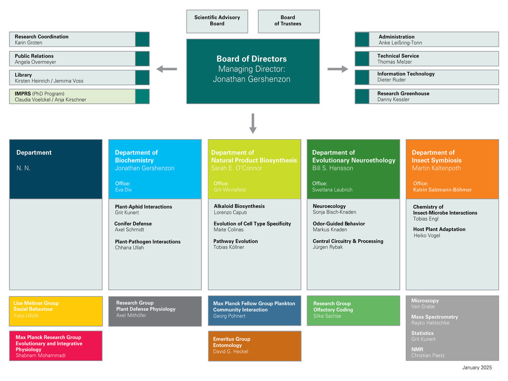 Management and Key Representatives