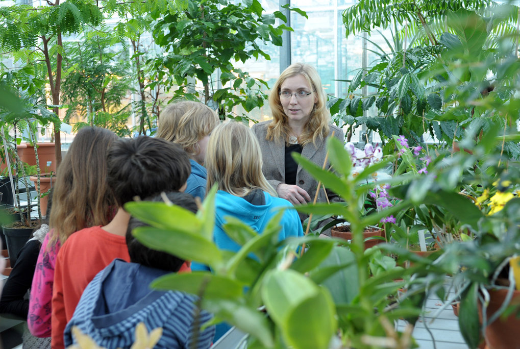 Angebote für Schulen