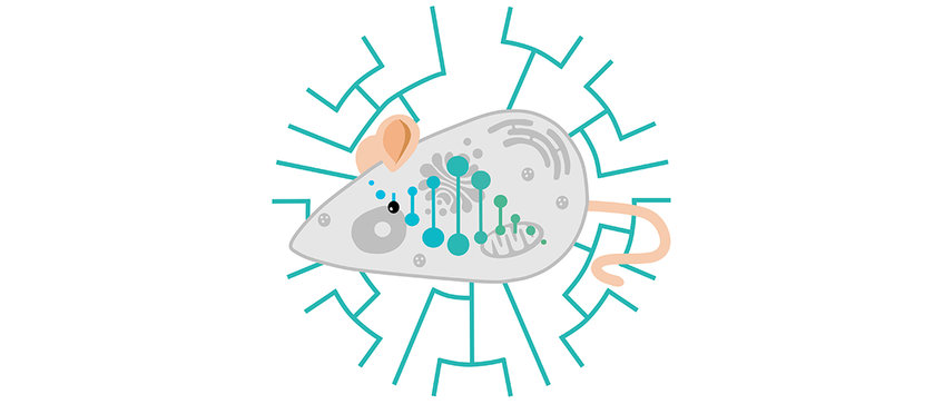 Max Planck Research Group Evolutionary and Integrative Physiology