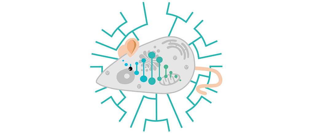 Max-Planck-Forschungsgruppe Evolutionäre und integrative Physiologie